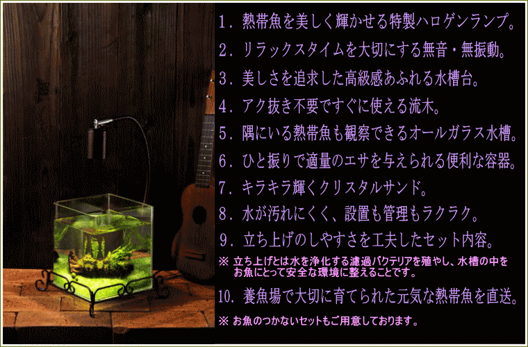 熱帯魚水槽セット