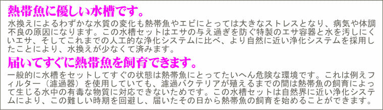 熱帯魚に優しい水槽です。届いてすぐに熱帯魚を飼育できます。