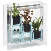 カリーナ・キューブ