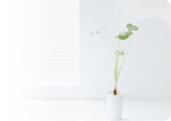 カリーナ・キューブ