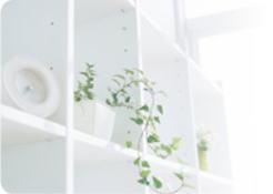 カリーナ・キューブ