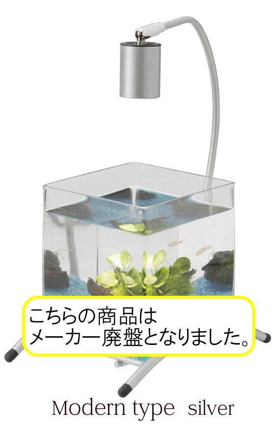 ���K�[���������_���V���o�[