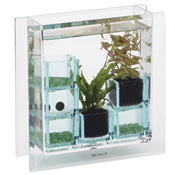 ミニ薄型水槽キューブのセット例その3