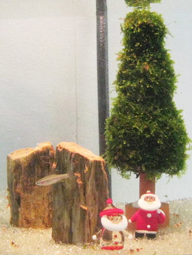 �N���X�}�X�����Z�b�g