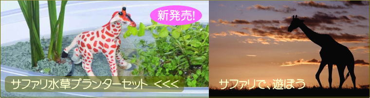 �����v�����^�[