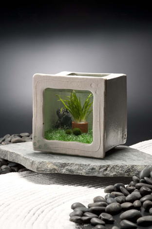 ���퐅�������Z�b�g���F�p�^