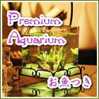 �M�ы��̏��^����Z�b�g�i�������j