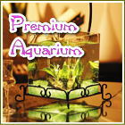 �M�ы��̏��^�����Z�b�g