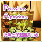 �M�ы��̏��^����Z�b�g�i�ۉ������j