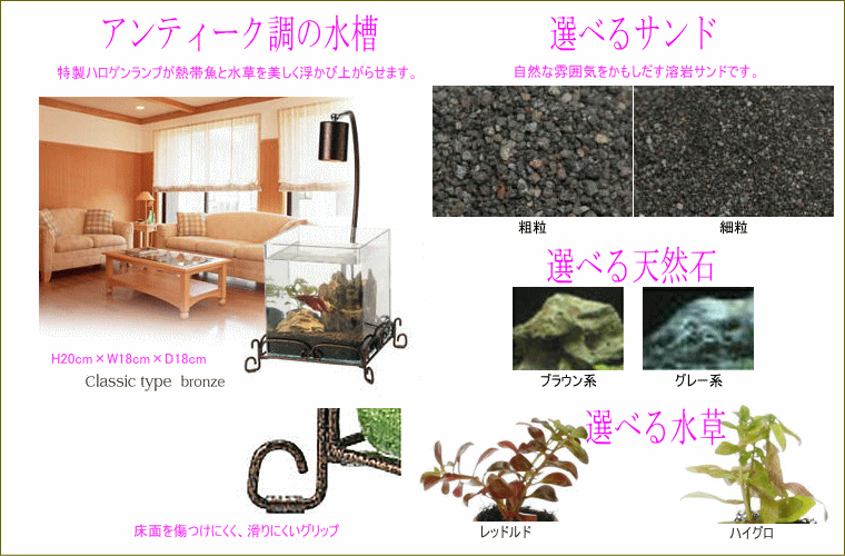 ���K�[���V�R��