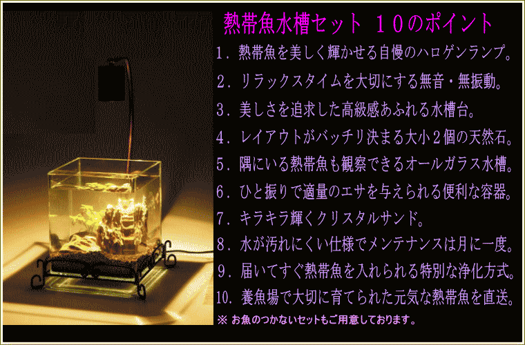 ���K�[���V�R��