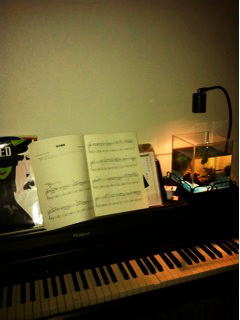 �s�A�m�̏�ɐݒu���ꂽ����