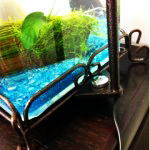 �����v�A�[�����t����