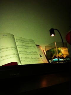 �����v�̖�����ɏƂ炳�ꂽ����