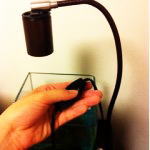 �n���Q�������v�̓_���X�C�b�`