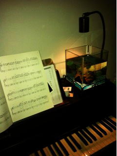 �y���̂ƂȂ�ɒu����Ă��鐅��