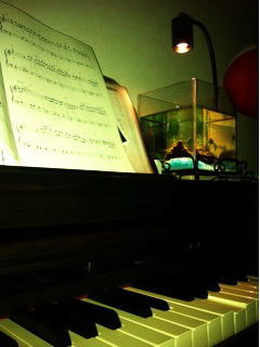 �Â������ɕ����яオ�鐅��