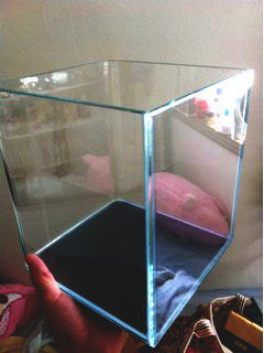 �K���X����