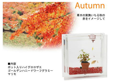 �H�̃J���[�i����