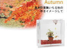 �H�̃J���[�i����