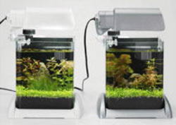 �A�N�A�t�B�I�[��