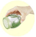 ���K�[���E�v�`