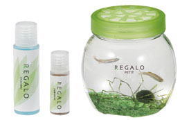 ���K�[���E�v�`