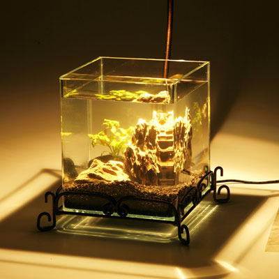 ���K�[���V�R��