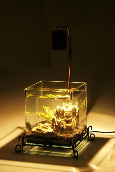 ���K�[���V�R��