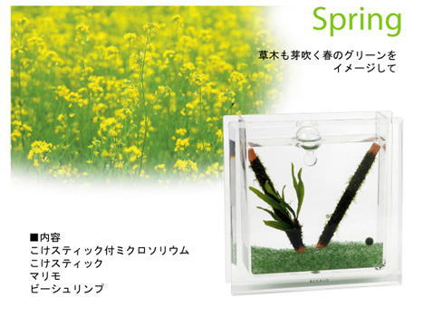 �t�̃J���[�i����