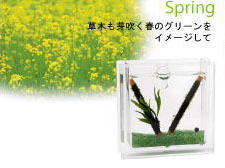 �t�̃J���[�i����