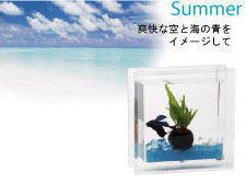 �ẴJ���[�i����