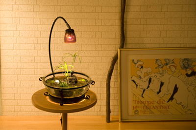 ���K�[���뉀