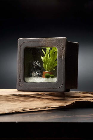 �M�y�Ă̓��퐅��