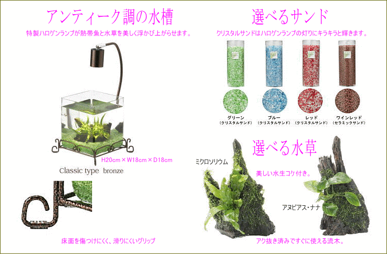 ���K�[��