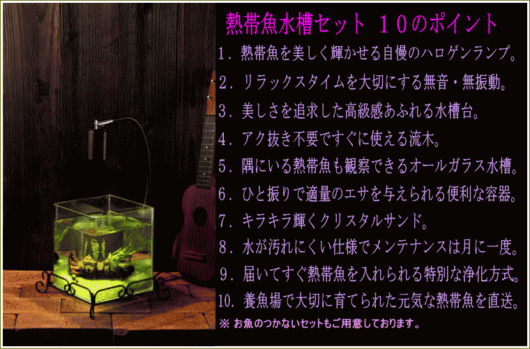 ���K�[��